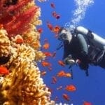 File 20181011 72113 H1mvme